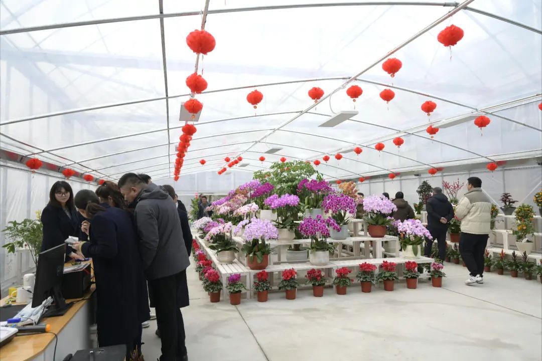 圖片關鍵詞 圖片