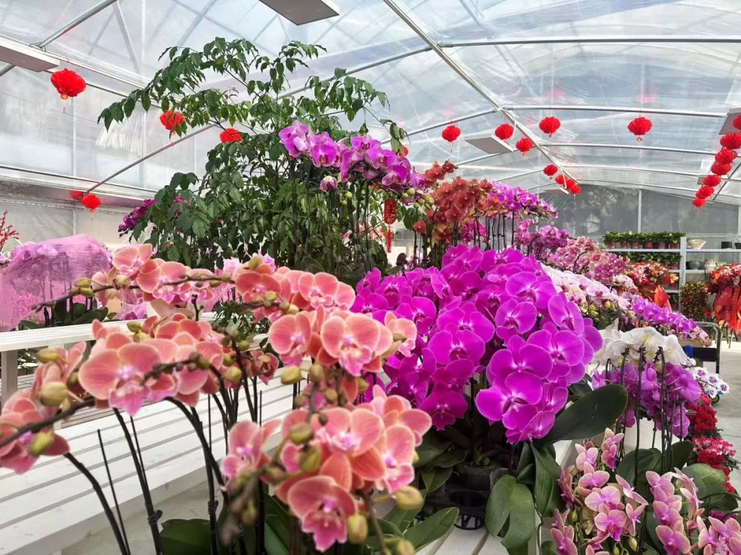 圖片關鍵詞 圖片